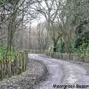 Moorgreen Resevoir Woods